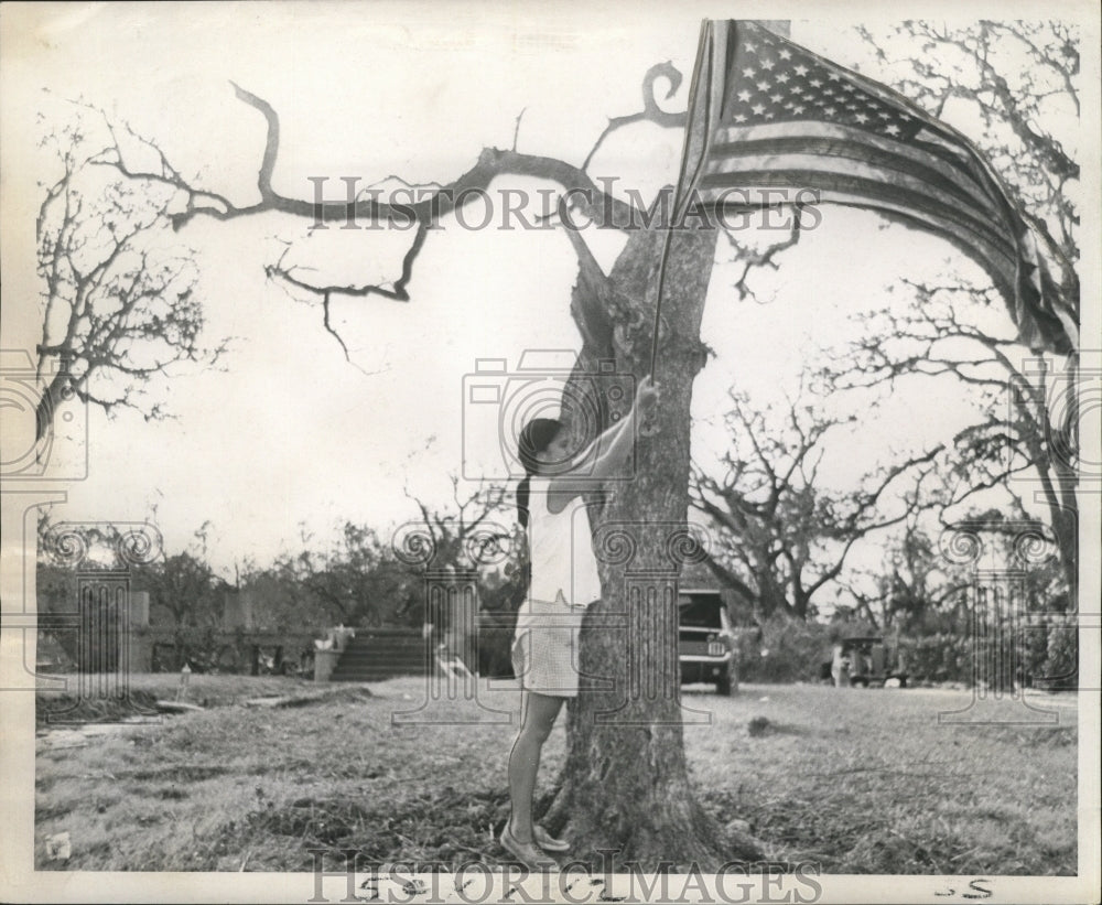 1969 Press Photo Hurricane Camille Charlotte Carrere places flag on tree stump - Historic Images