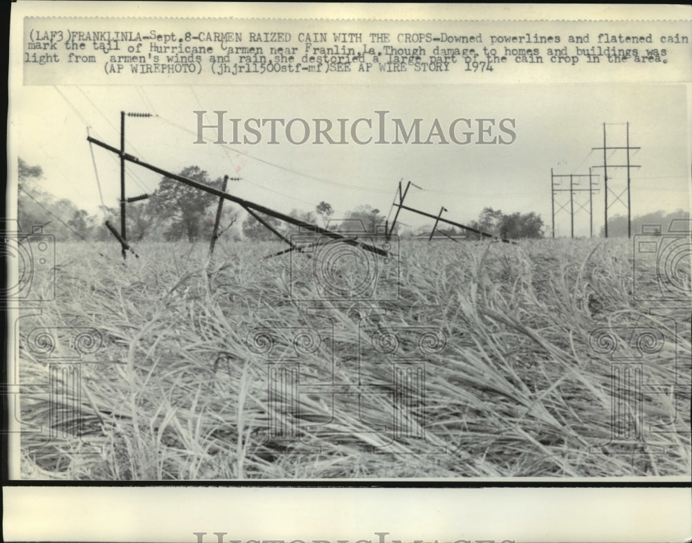 1974 Press Photo Hurricane Carmen-Carmen razed cain with the crops - noa04577 - Historic Images