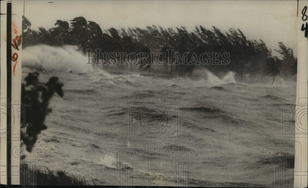 1953 Hurricane- Rough Waters. - Historic Images