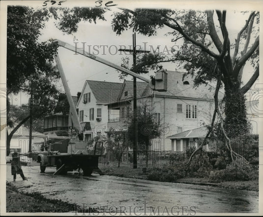 1964 Hurricane Hilda-Parkway Commission workers toil to remove limbs - Historic Images