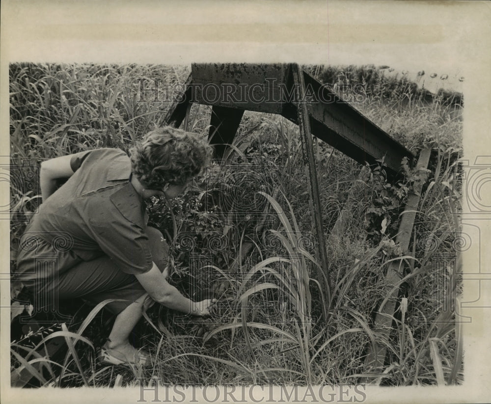 1962 Press Photo New Orleans - Woman by Anderson Jackson Statue - noa05039 - Historic Images