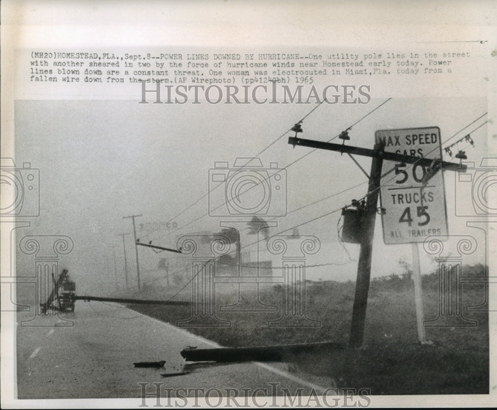 1965 Hurricane Betsy- Power lines downed by hurricane. - Historic Images