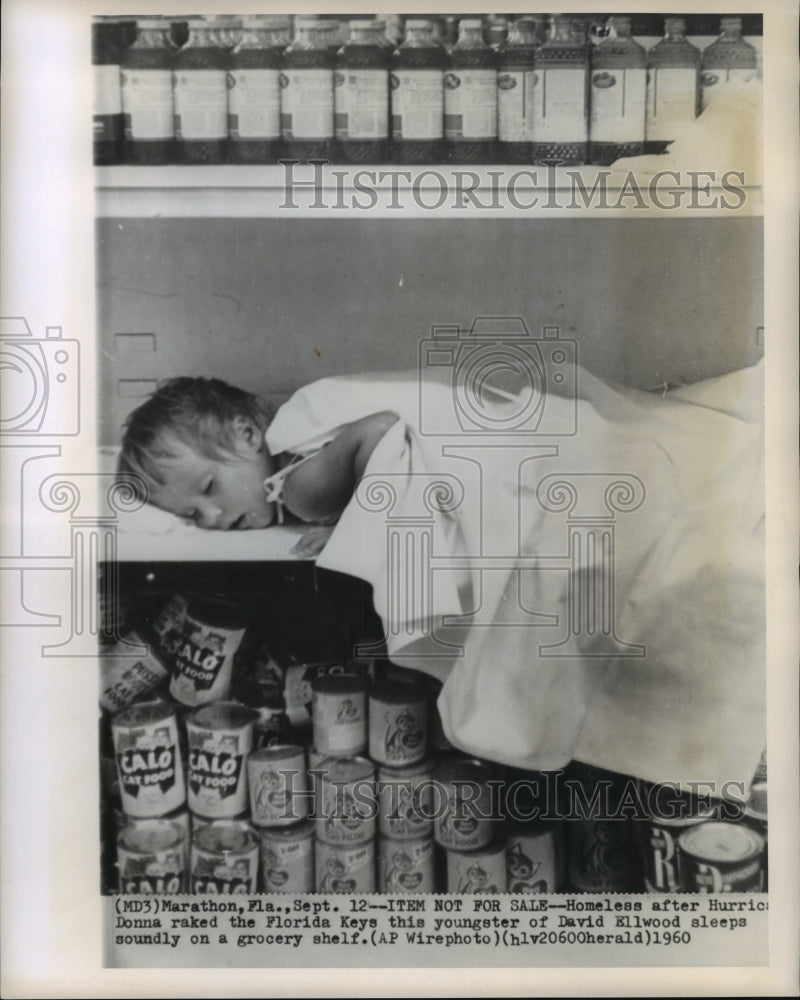 1960 Hurricane Donna- Youngster sleeps soundly on grocery shelf. - Historic Images