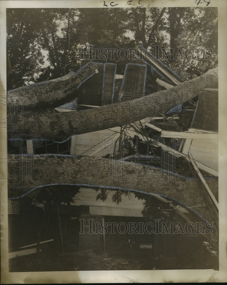 1956 Storms- High winds toppled an oak tree into home. - Historic Images