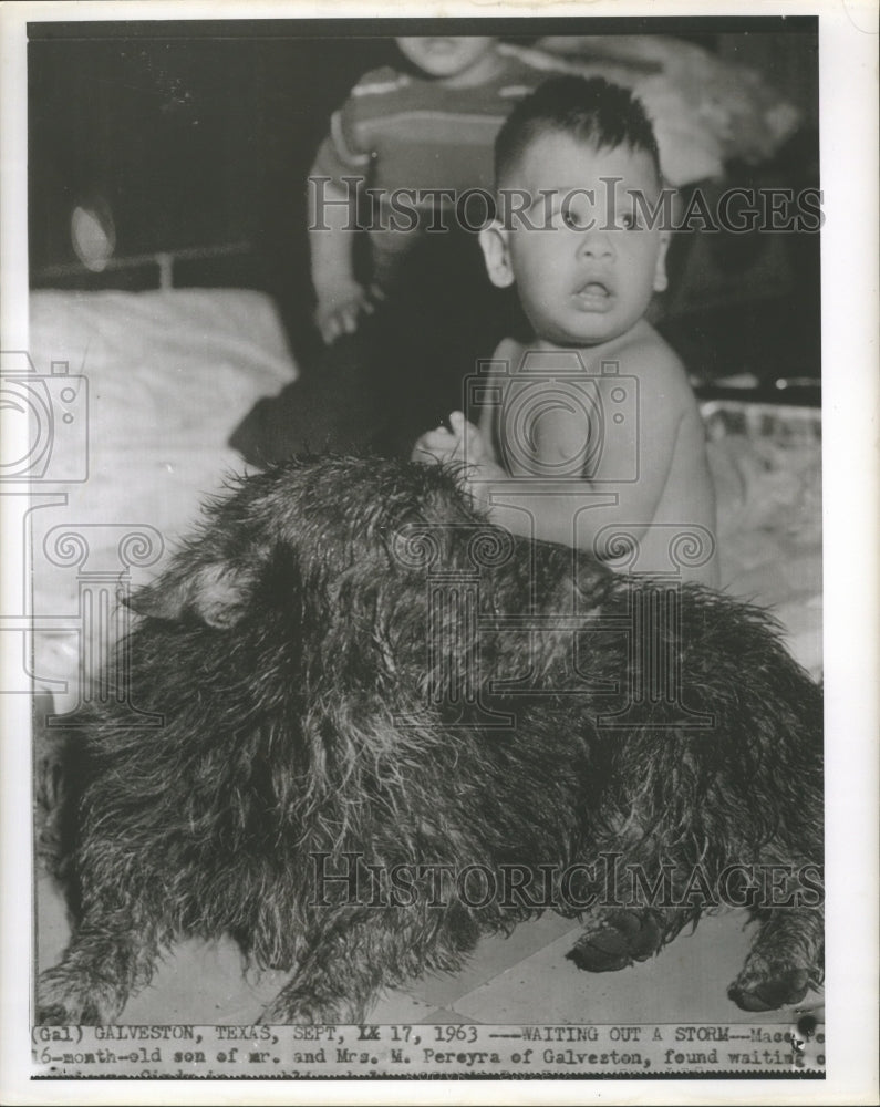 1963 Hurricane Cindy- 16 month old son of Mr. and Mrs. M. Pereyra. - Historic Images