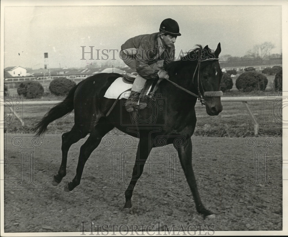 1969 Horse Racing - Historic Images