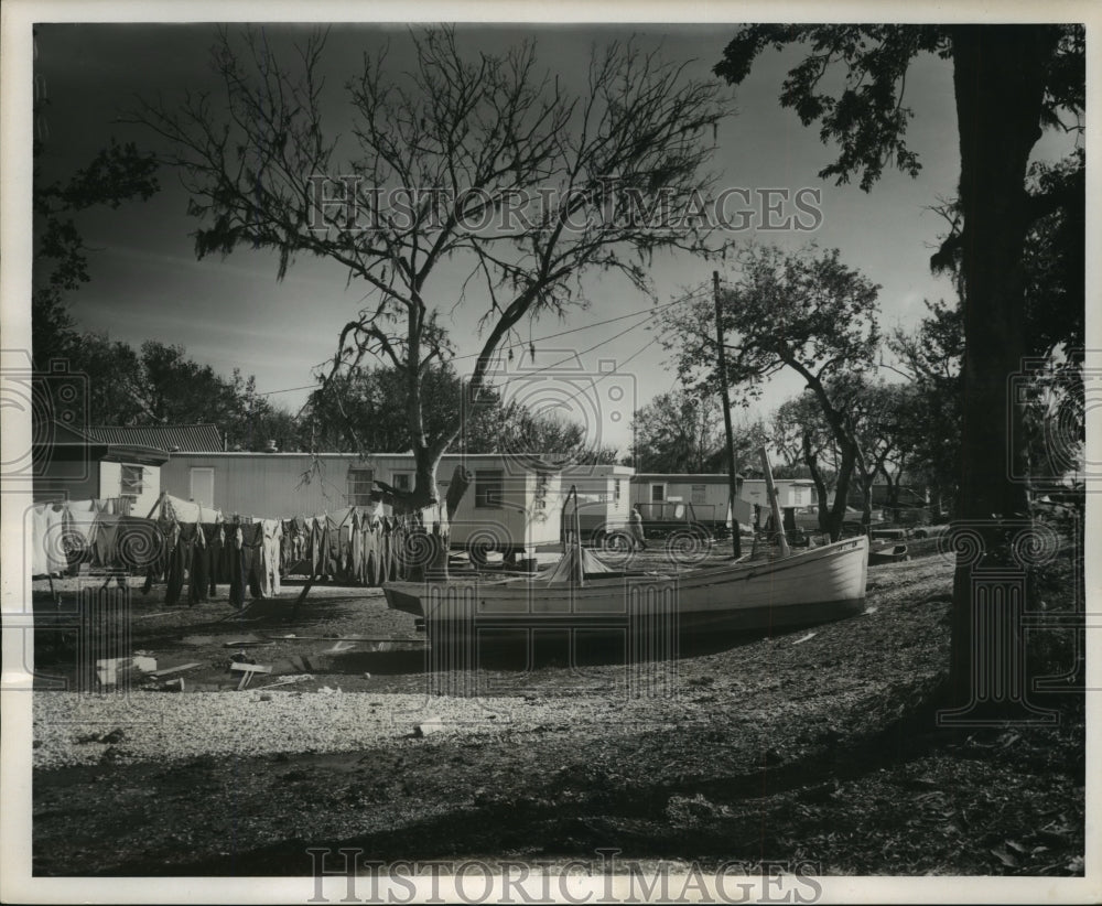 1965 Hurricane Betsy- Tinsel glitters at Delacroix Island. - Historic Images