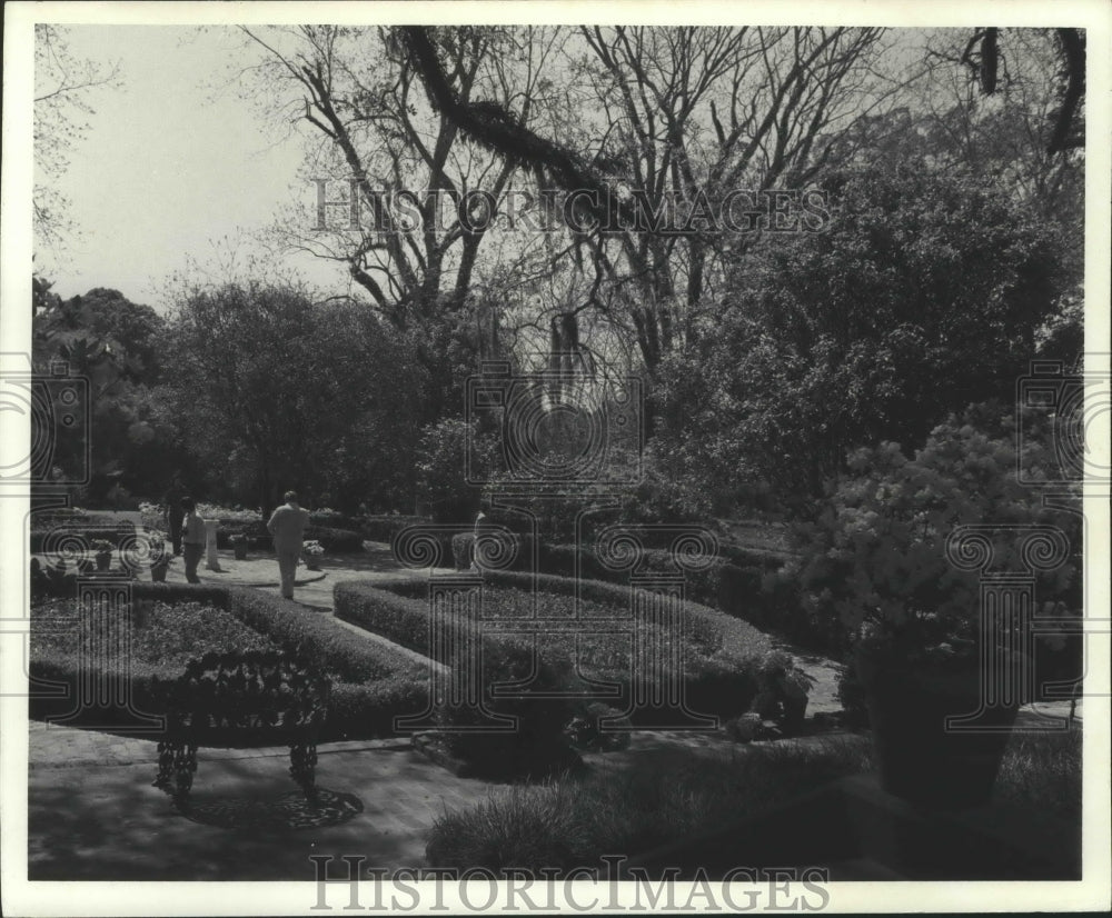 1982 Press Photo Afton Villa Gardens Beautiful Flowers - noa08757 - Historic Images