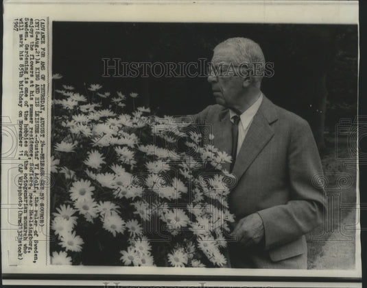 1967 King Gustaf VI Adolf Enjoying the Flowers at His Summer Home - Historic Images