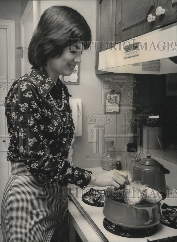 1973 Press Photo Grease brush used to clean up oil spills used on chili. - Historic Images