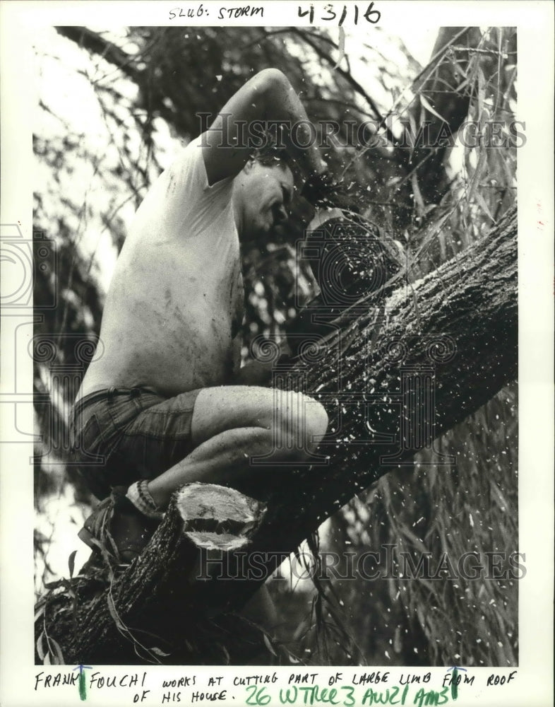 1985 Hurricane Danny - Frank Fouchi Trims Tree That Fell on House - Historic Images