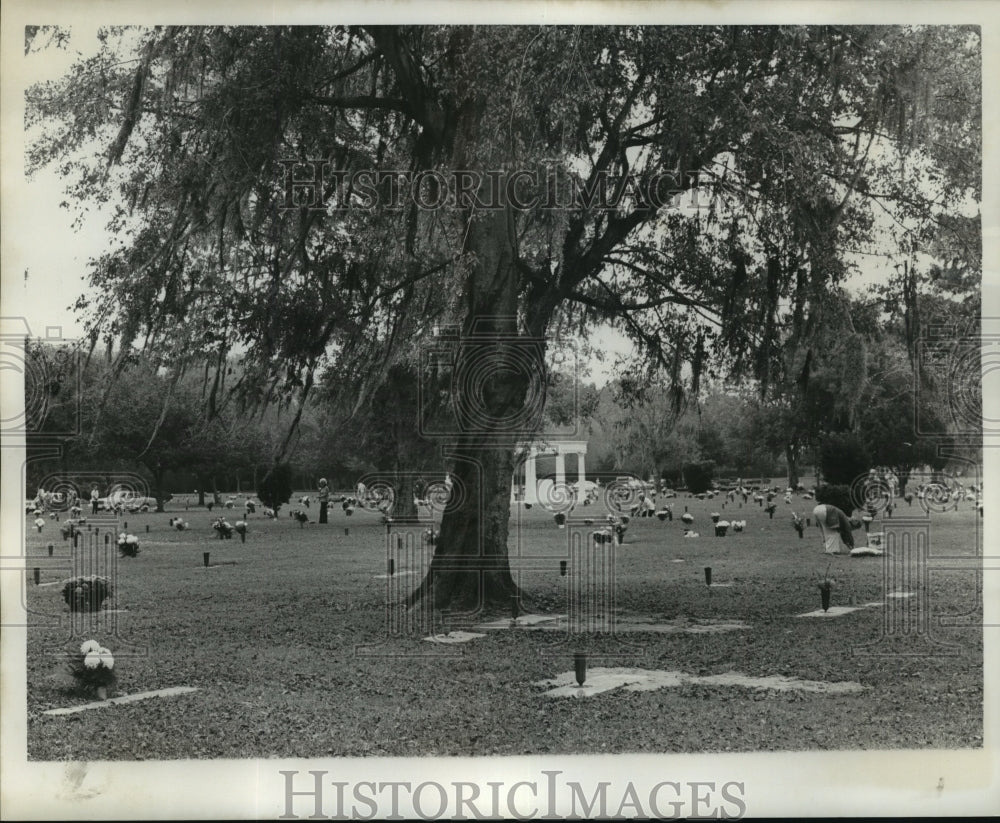 1977 Press Photo All Saints Day - Westlawn Memorial Park at Gretna, Louisiana. - Historic Images