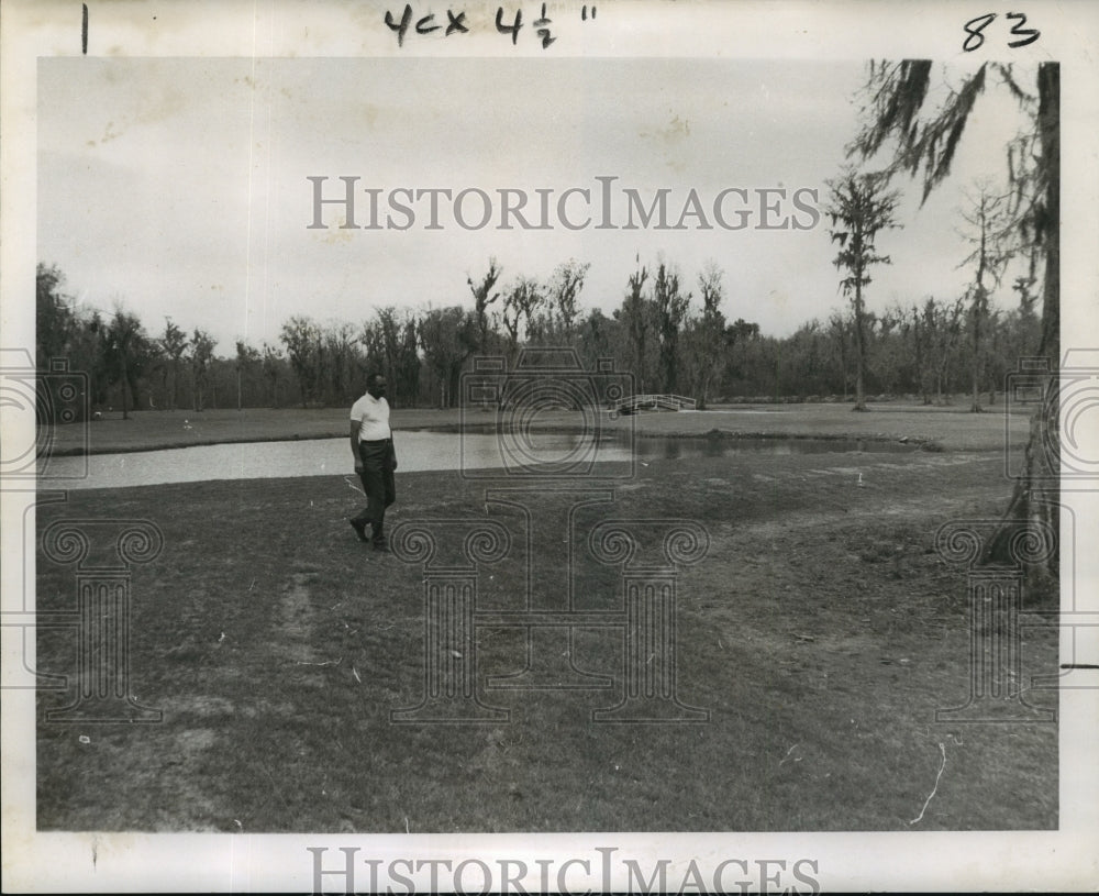 1971 Press Photo Everett Alleman, golf pro, surveys Willowdale Country Club. - Historic Images