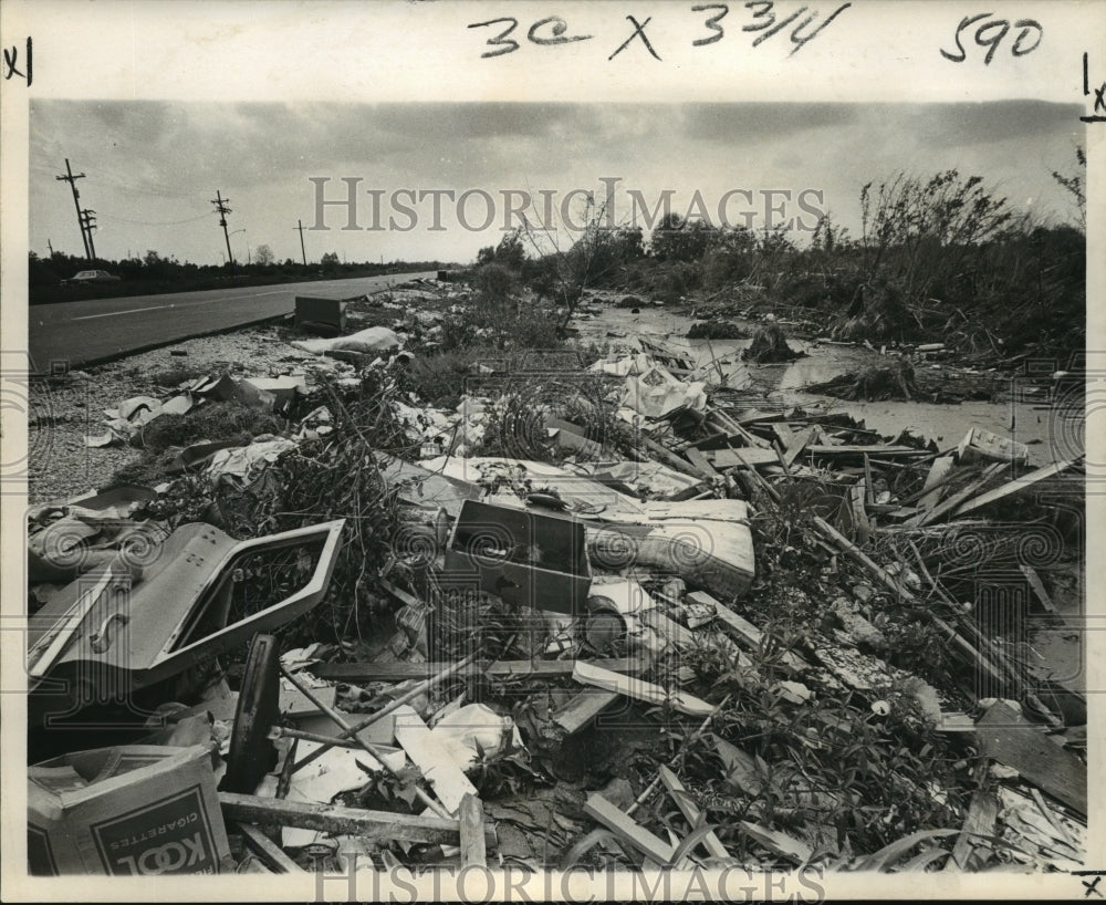 1972 Press Photo View of garbage dumped along Almonaster Ave. Extension. - Historic Images