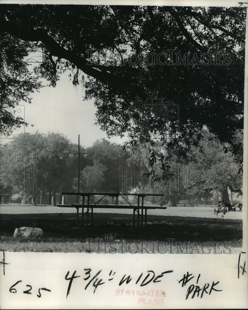 1974 Press Photo Loneliness of Audubon Park - noa19888 - Historic Images