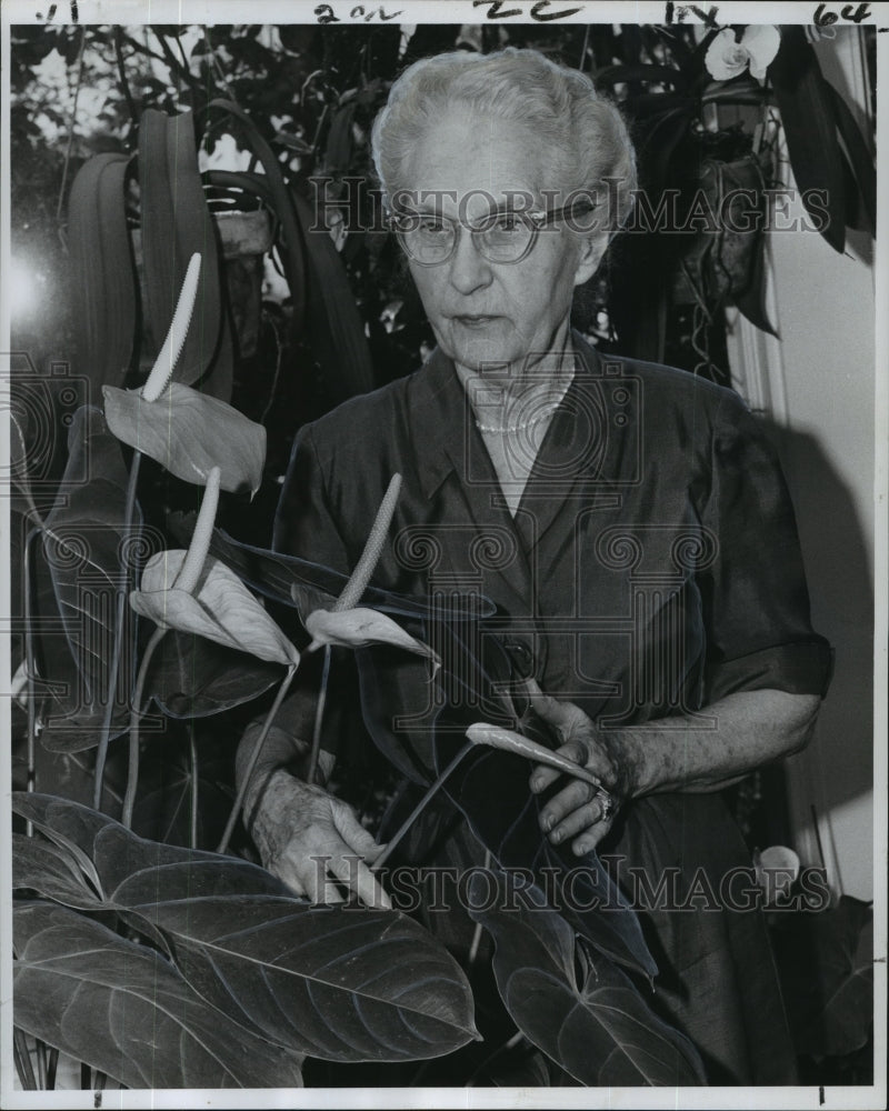 1964 Press Photo New Orleans Garden Society - Mrs. Gregg Armstrong and Antherium- Historic Images