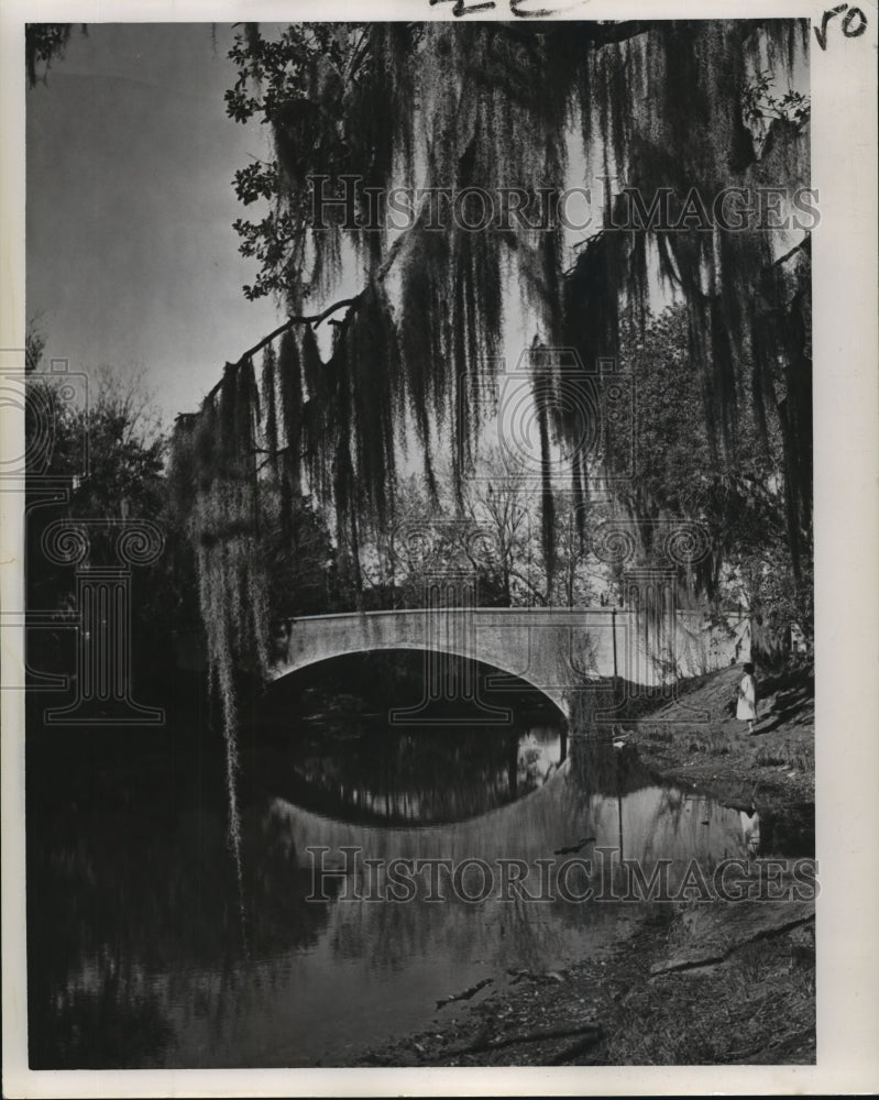 1963 Press Photo New Orleans Audubon Park - Tranquil View of the Bridge- Historic Images