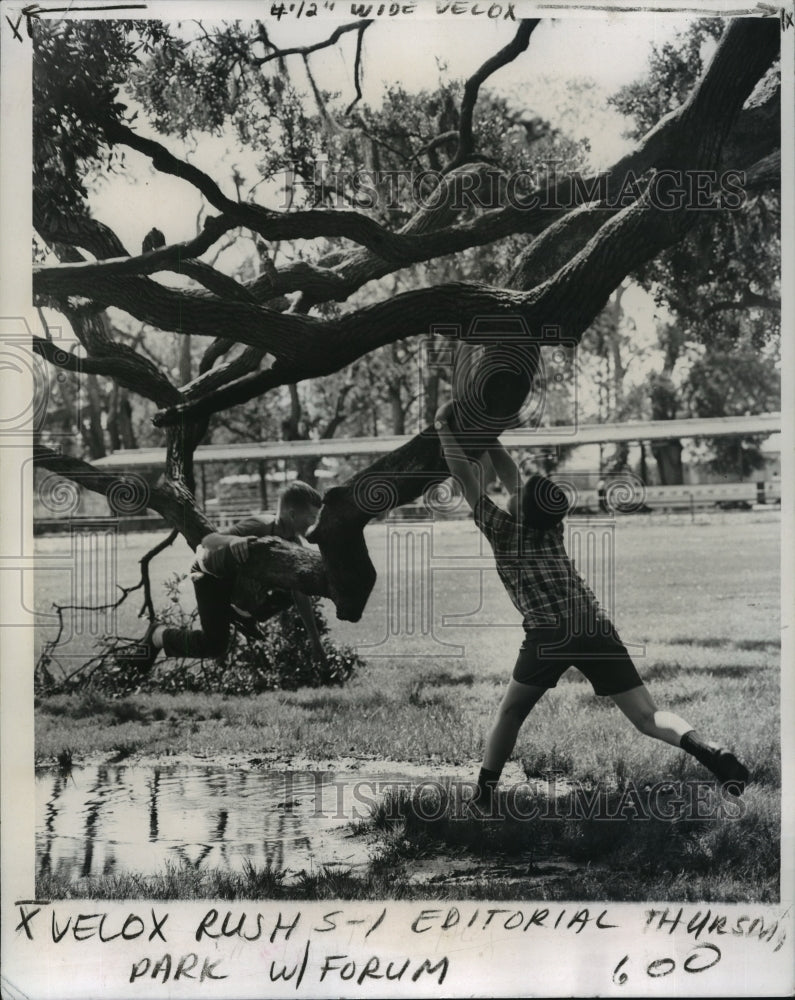 1966 Press Photo Audubon Park - Children Play on Trees, New Orleans, Louisiana- Historic Images