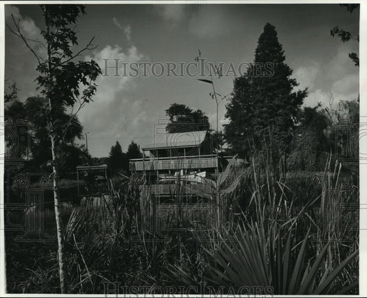 1985 Press Photo Audubon Park Zoo - Louisiana Swamp Exhibit, New Orleans - Historic Images