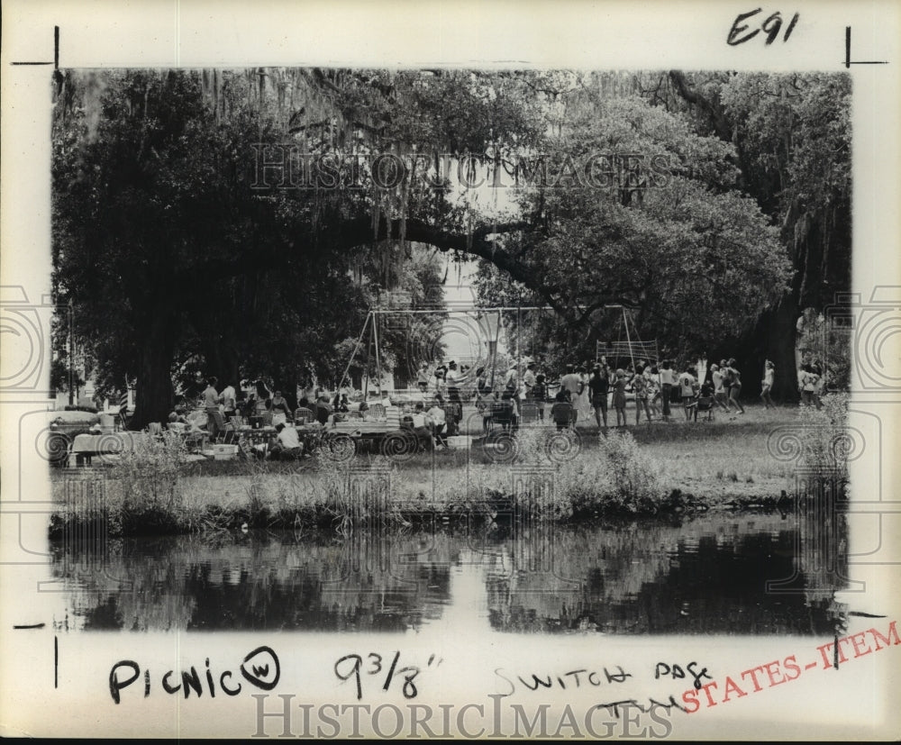 1976 Press Photo Picnic Held Next to Audubon Park Lagoon - Historic Images