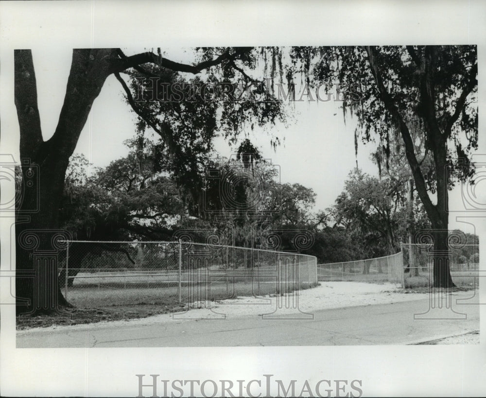 1975 Press Photo New Orleans Audubon Park - Fencing Placed for Expansion of Park- Historic Images