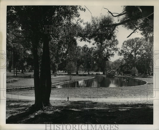 1967 Press Photo New Orleans Audubon Park - View of George Douglas Pond - Historic Images