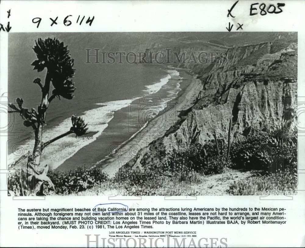 1981 Press Photo View of the Beachfront of Baja California - Historic Images