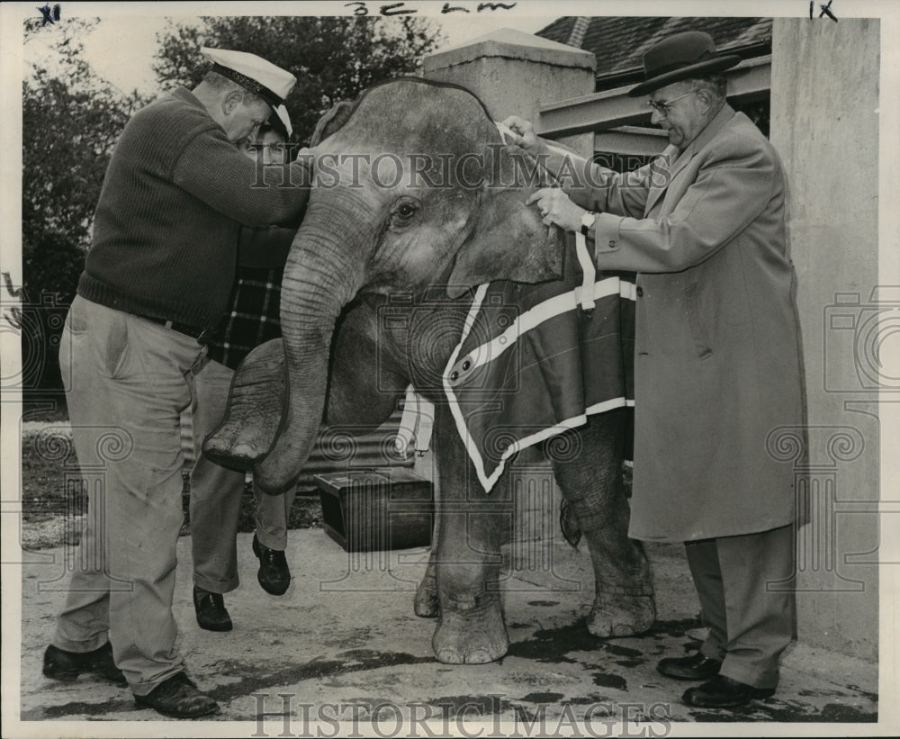 1966 Press Photo Audubon Zoo - Herbert Hahn, John Northcutt, WIlliam Pohlmann- Historic Images