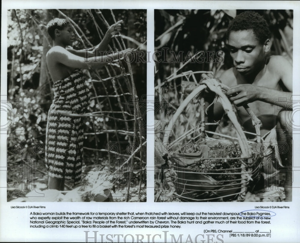 1989 Two Scenes of the Baka Pygmies in Baka:  People of the Forest-Historic Images