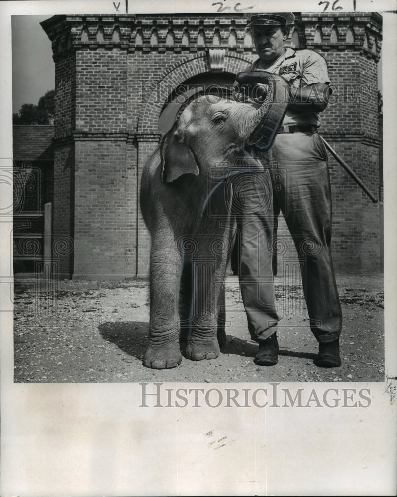 1964 New Orleans Audubon Zoo - Baby Elephant Miss Sunbeam at Party-Historic Images