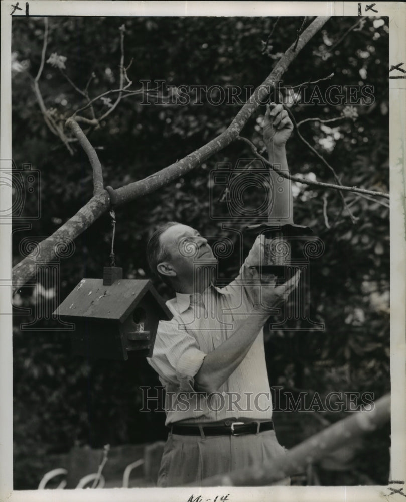 1956 Press Photo Glenn Webb hangs up his bird feeder, New Orleans - noa37287- Historic Images