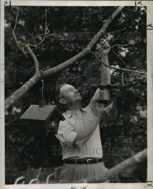 1956 Press Photo Glenn Webb hangs up his bird feeder, New Orleans - noa37287- Historic Images