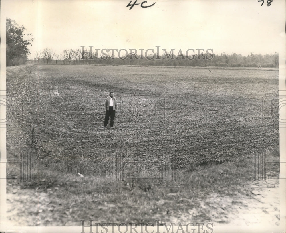 1965 Press Photo Lorain Armstrong, owner of Delhi Fisheries surveys his pond-Historic Images