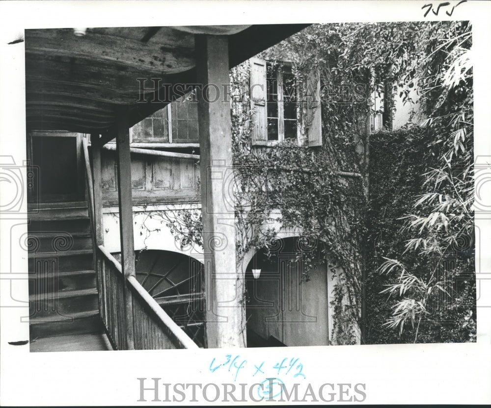 1978 Vines cling to rear of the museum building - Historic Images