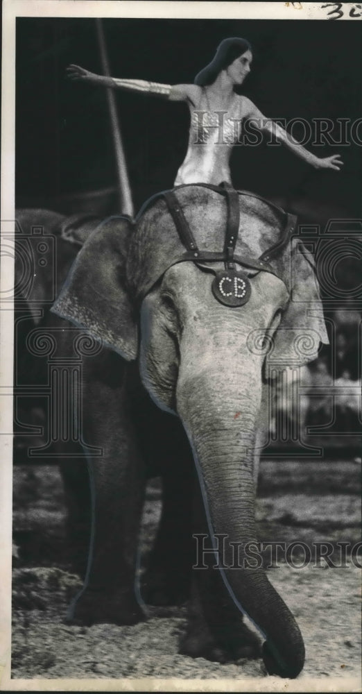 1971 Elephant at the Clyde Beatty-Cole Brothers Circus in Gretna - Historic Images