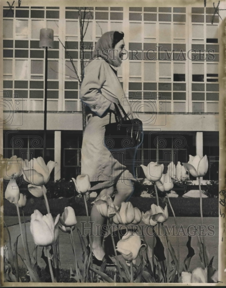 1967 Press Photo Tulan Orthoptist Miss Rockett Walks Through Civic Center Tulips- Historic Images