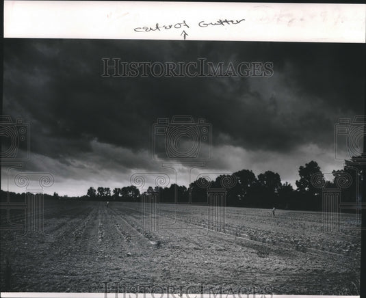 1967 World's riches delta land makes Alex cotton planter's paradise - Historic Images
