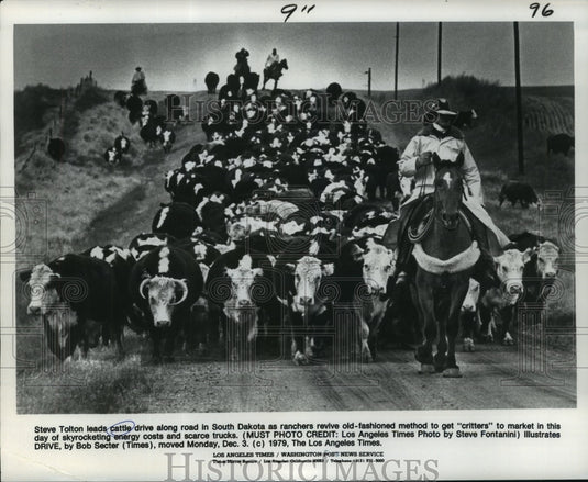 1979 Press Photo Steve Tolton leads cattle drive in South Dakota - Historic Images