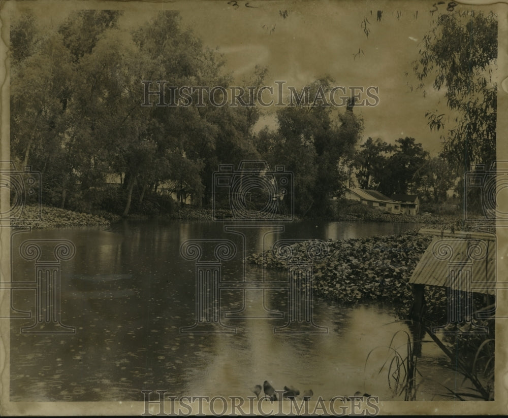 1959 Press Photo Flooded and Overgrown Company Canal in Westwego - noa71418 - Historic Images