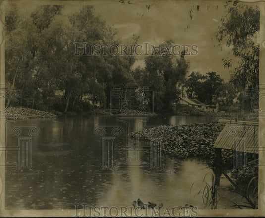 1959 Press Photo Flooded and Overgrown Company Canal in Westwego - noa71418 - Historic Images