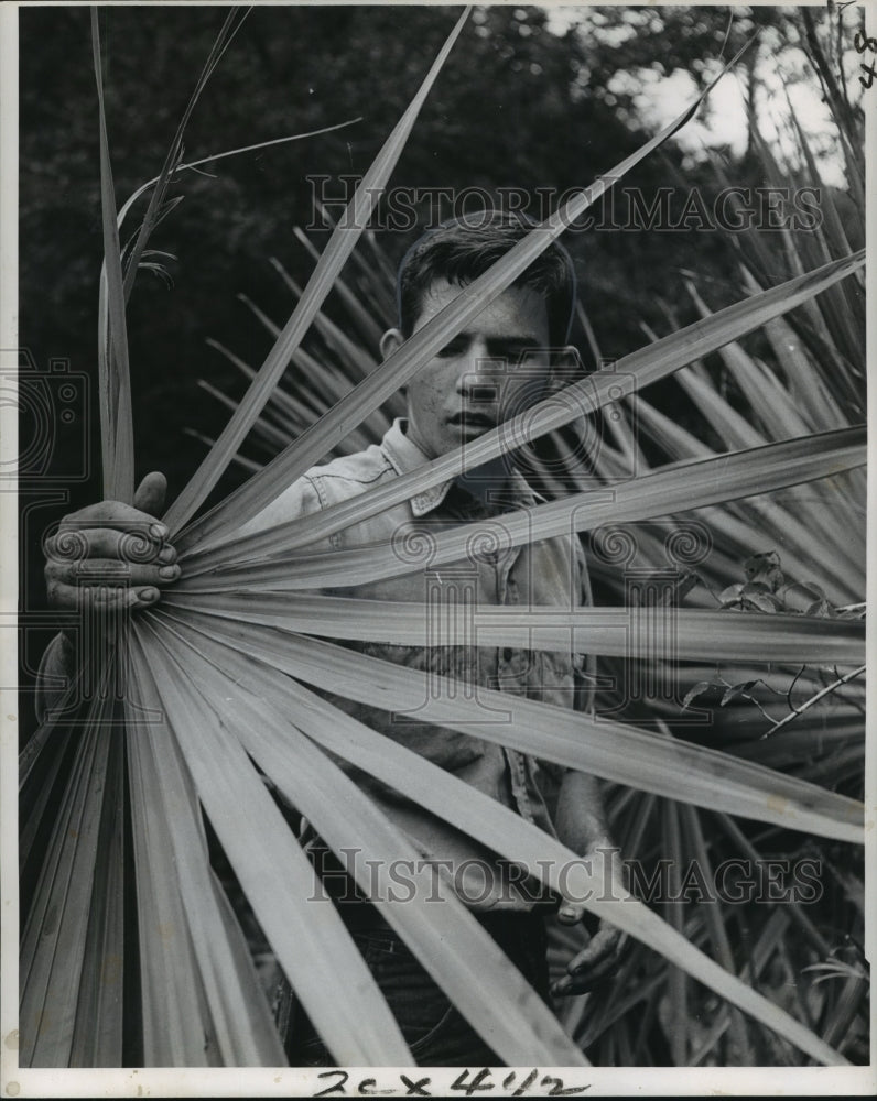 1961 Press Photo Richard Lynch selects Palmetto- Swamp Survival demonstration - Historic Images