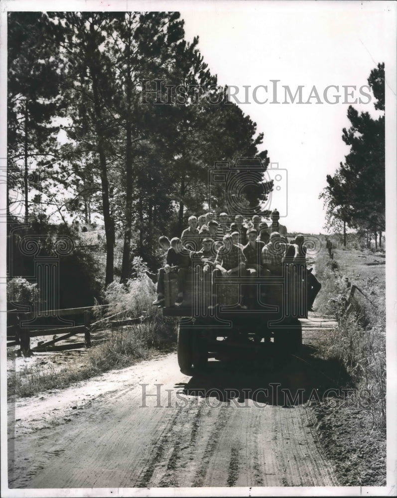 1968 Press Photo Youngsters in Columbia school pulled corn for livestock&#39;s feed - Historic Images