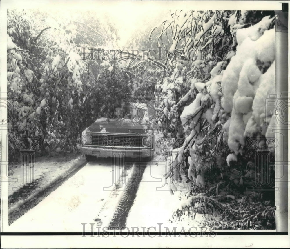 1973 Press Photo Truck stuck by fallen tree in Fort Mountain State Park in snow - Historic Images