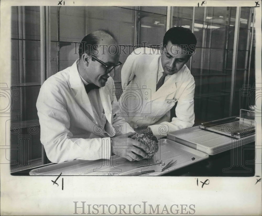 1961 Press Photo Dr. John Mossy explains brain features to Dr. Carlos Pereira. - Historic Images