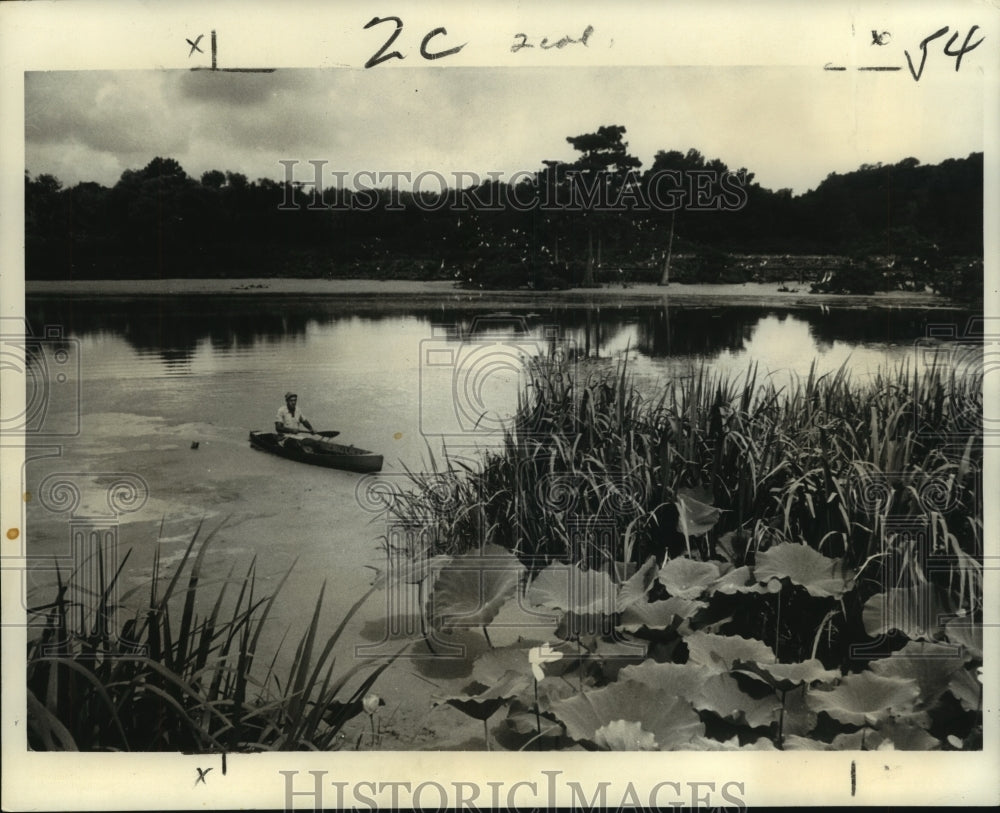 1965 Avery Island, Louisiana is home to over 100,000 Birds - Historic Images