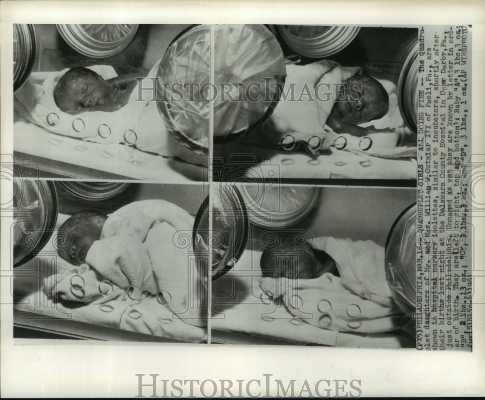 1961 Press Photo Quadruplet daughters of Mr. &amp; Mrs. Cutaiar shortly after birth - Historic Images