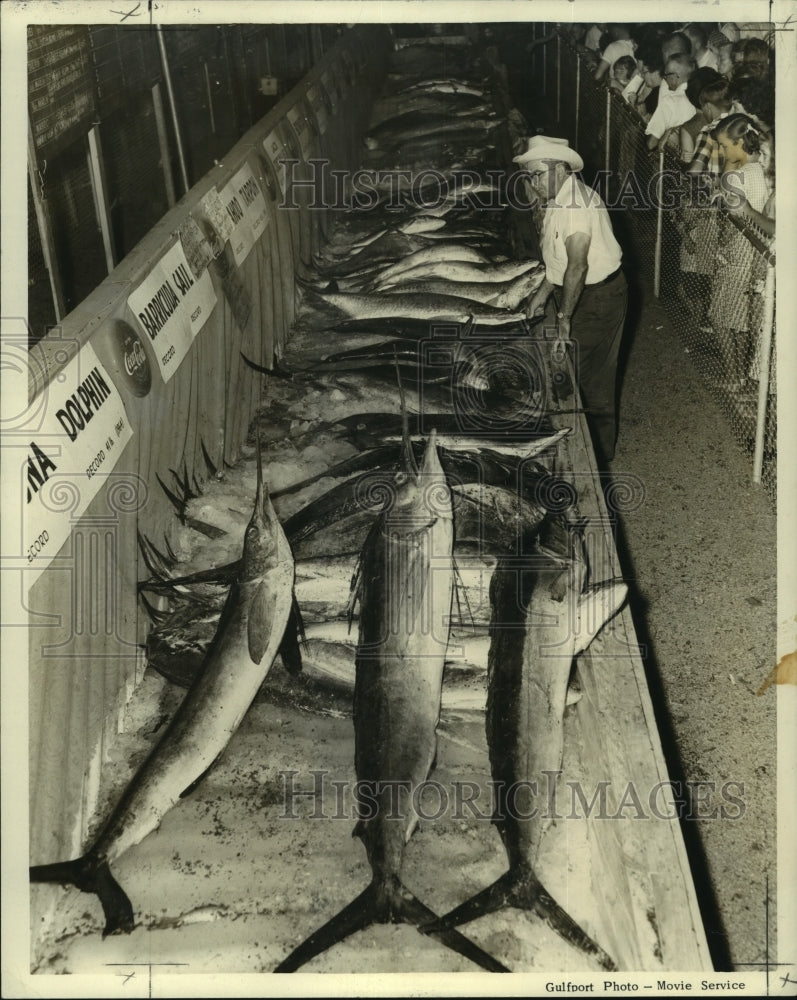 1967 Press Photo Visitors at Deep Sea Fishing Rodeo look at potential winners-Historic Images