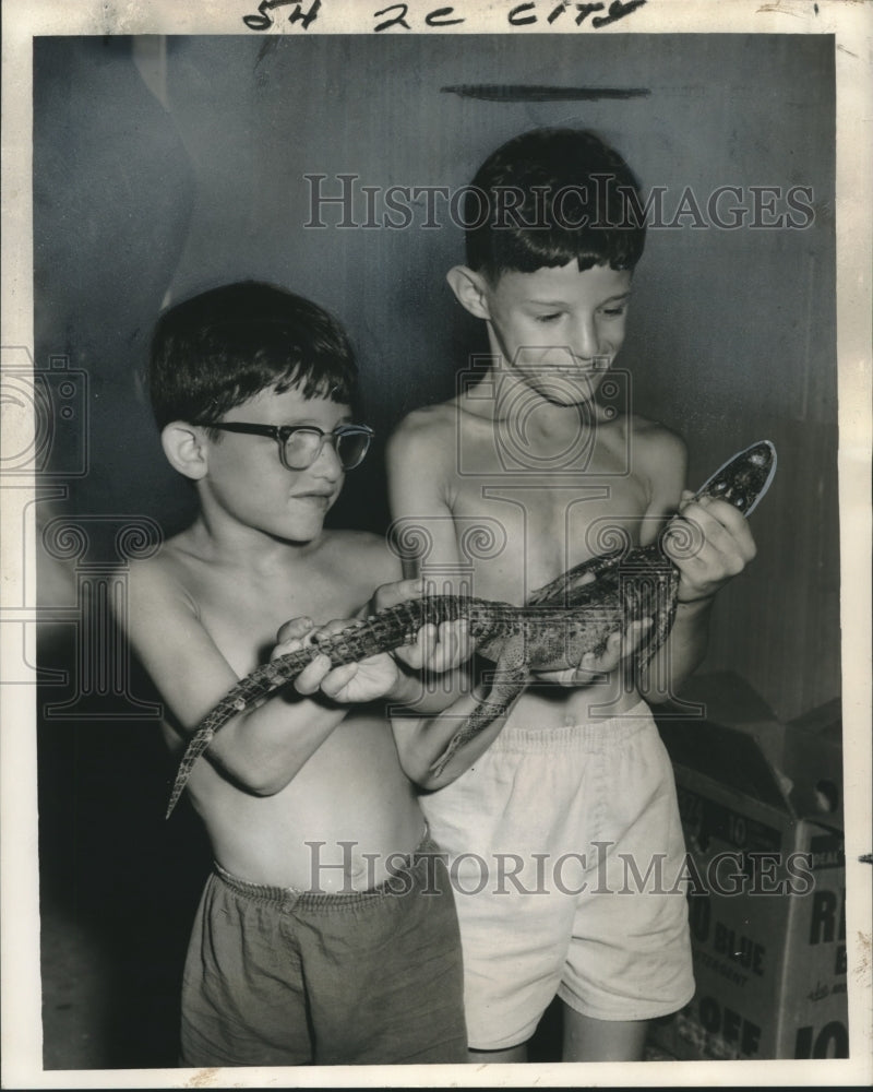 1961 Brothers Patrick and Francis DeLuca With Captured Alligators - Historic Images