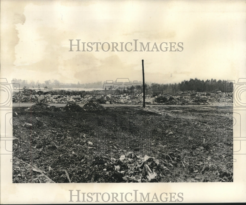 1950 Press Photo Scene from the landfill and city dump - noa91240 - Historic Images