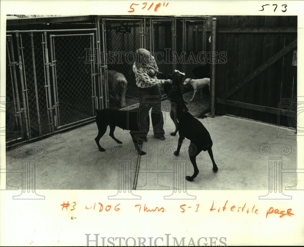 1980 Barbara Ducote with Show Dogs - Historic Images